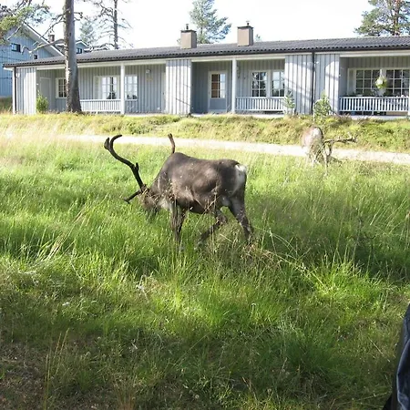 Aslak Saariselkä